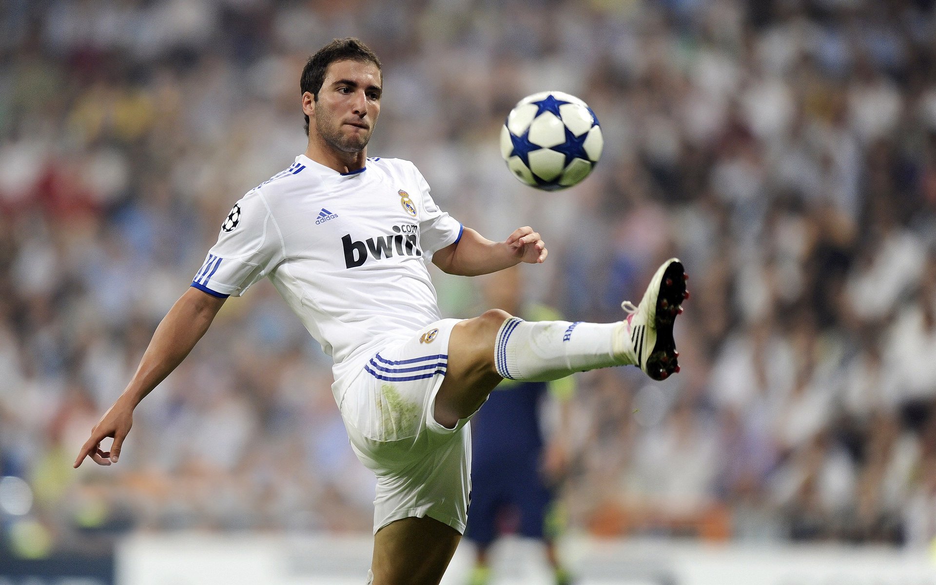 冠军球队球员出席社区分享会激励青少年积极参与体育